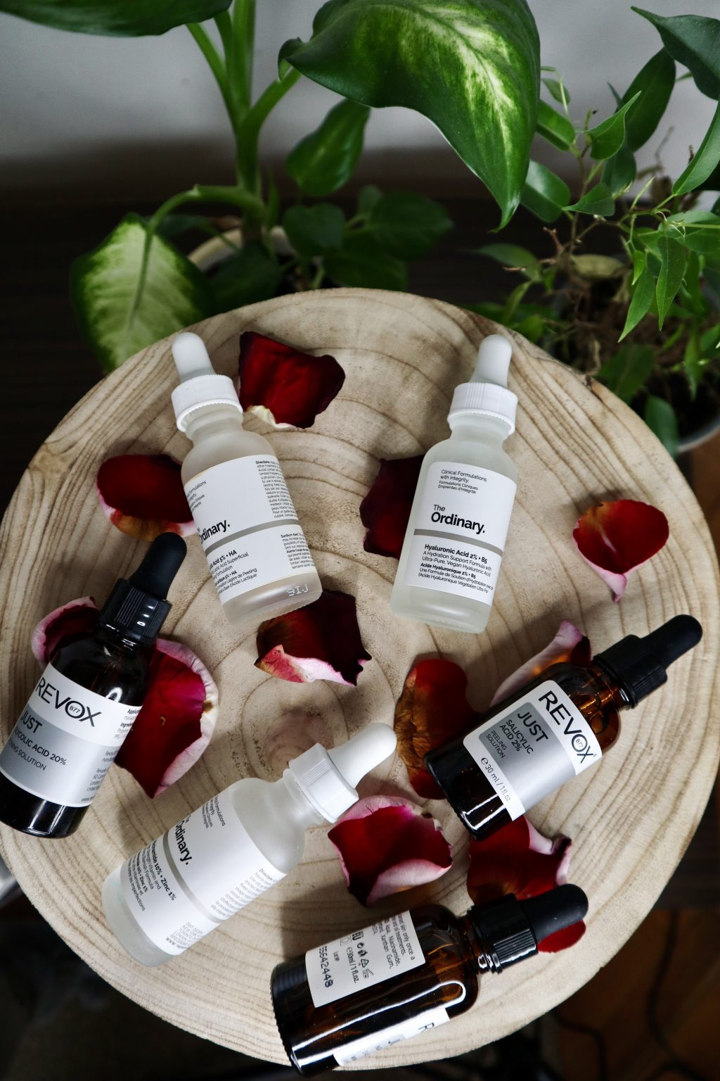 The Ordinary vs. Revox B77 M BLAGA