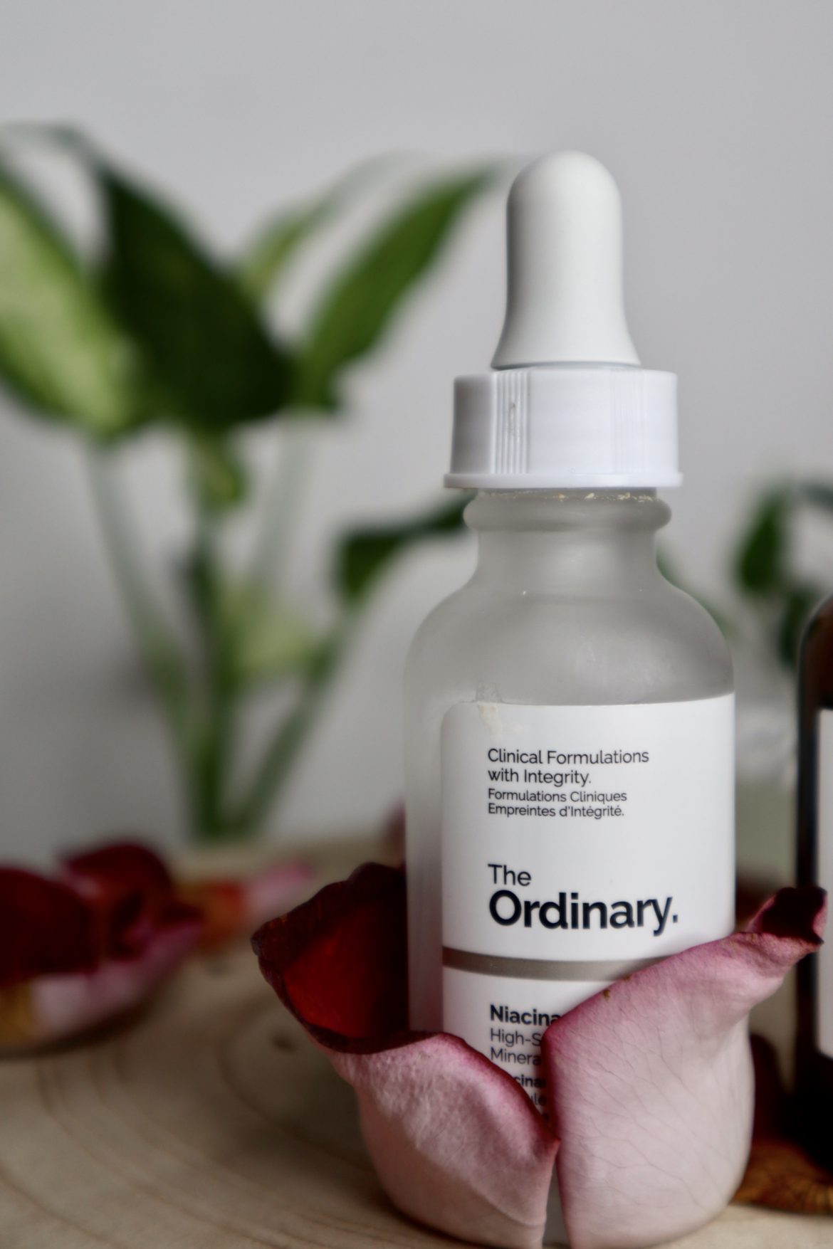 The Ordinary vs. Revox B77 M BLAGA