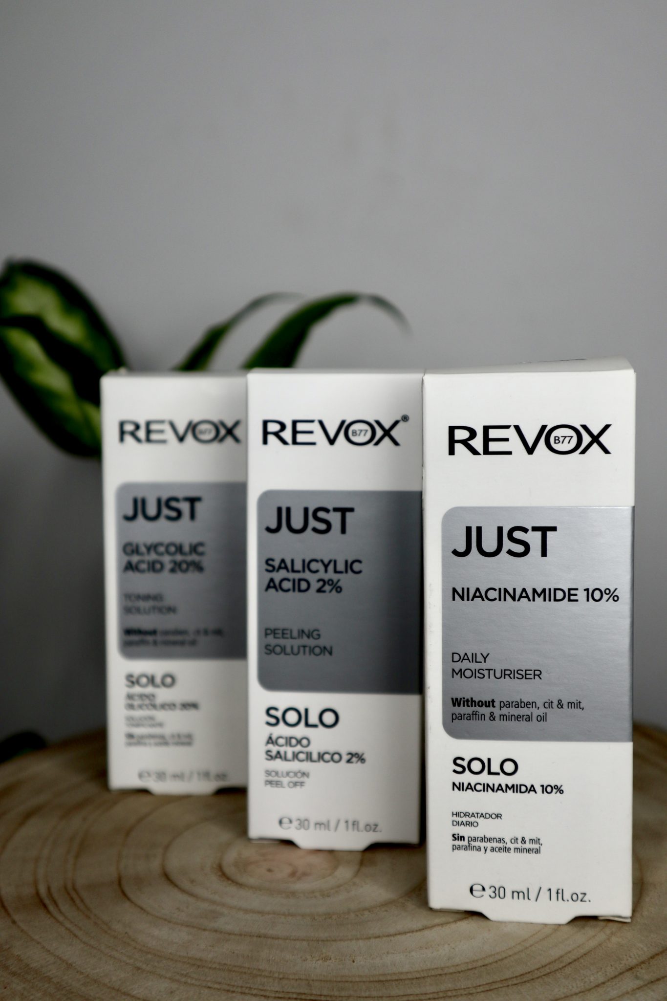 The Ordinary vs. Revox B77 M BLAGA