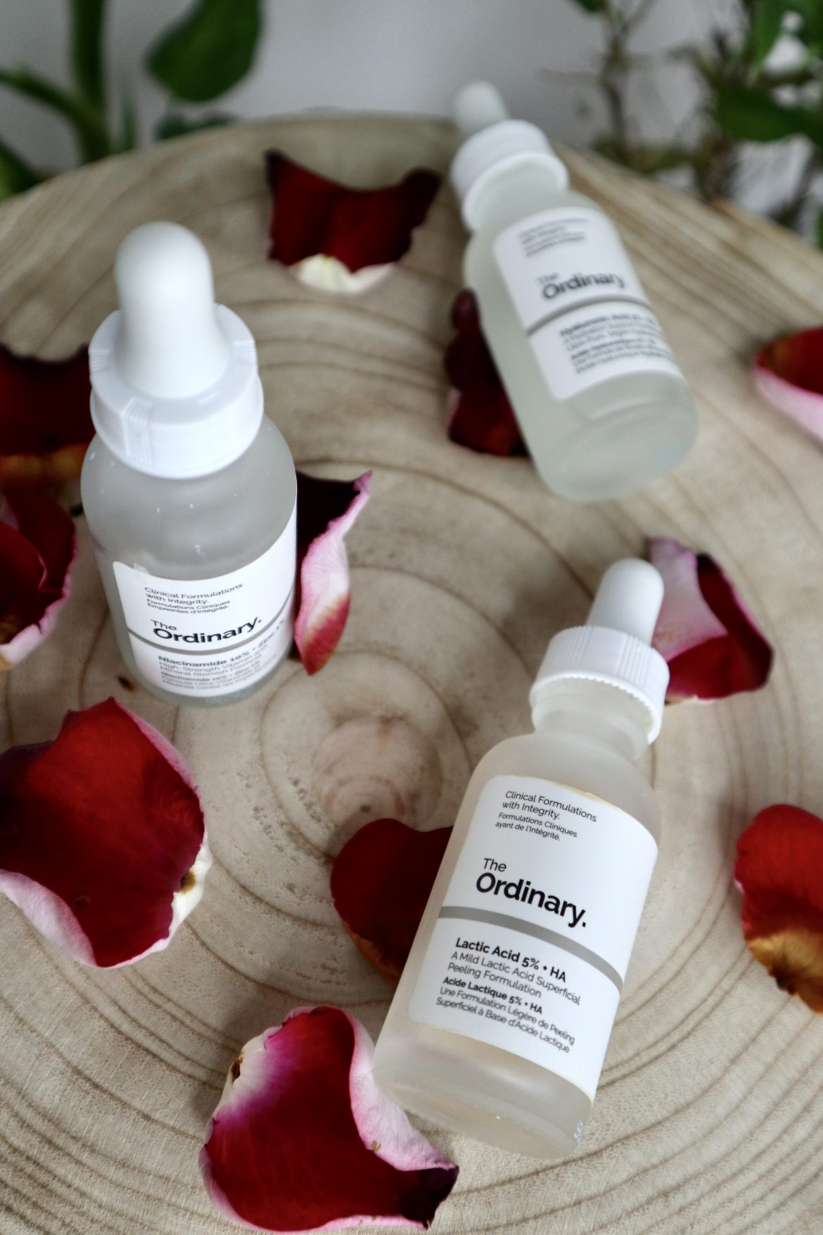 The Ordinary vs. Revox B77 M BLAGA